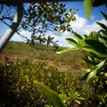 masonhoffmann - Instagram Profile Picture of masonhoffmann (@photo_shots03) on Instagram