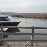 Profile Picture of Abdulkarim Ali (@abdulkarim_ali_72) on Instagram