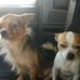 Profile Picture of Kenneth Pease (@kenneth.pease.167) on Facebook