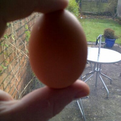 Profile Picture of David Pattison (@dai_pat) on Twitter