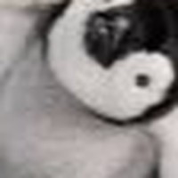 Profile Picture of Peter Wiebe (@peter-wiebe-27) on Quora