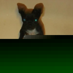 Profile Picture of Florencio Suarez (@432654325) on Myspace