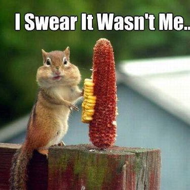 Profile Picture of Benjamin  Leahy (@Benleahy18) on Twitter