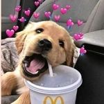 Profile Picture of Julia jeleń (@jelen1867) on Instagram