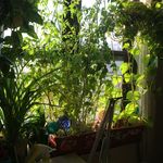 Profile Picture of Pamela Bloomer (@jewelry2gov) on Instagram