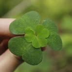 Profile Picture of Janina Ebert (@janina.ebert.3975) on Facebook