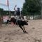 Profile Picture of James Pedersen (@james.pedersen.334) on Facebook