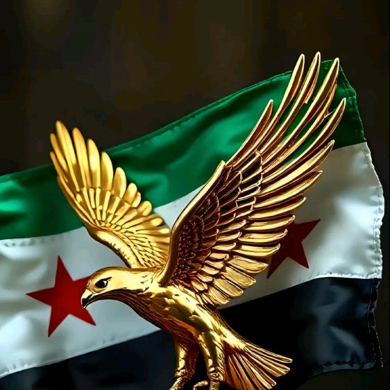 Profile Picture of Demo Syria (@demo_syria) on Tiktok