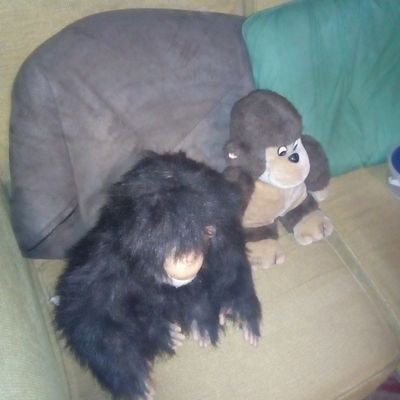 Profile Picture of Darrell Thompson (@5yUbRVjsdZBOSrj) on Twitter