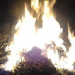 Nathan Grice - Instagram Profile Picture of Nathan Grice (@nathangrice) on Instagram