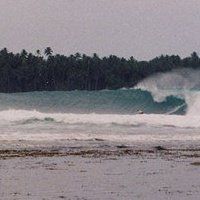 Profile Picture of Steve Homan (@stevehoman) on Pinterest