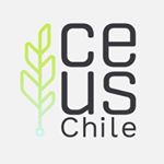 Profile Picture of CEUS CHILE (@ceus_chile) on Instagram