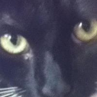 Profile Picture of Sharon Craiger (@sharon-craiger) on Quora