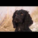 Profile Picture of Mark Clark (@markclark6074) on Instagram
