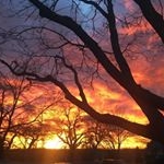 Profile Picture of Dennis Hamlin (@dennis_hamlin) on Instagram