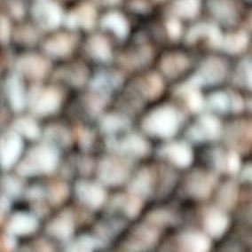 Profile Picture of Gabrielle Wagner (@Gabbygirl4499) on Twitter