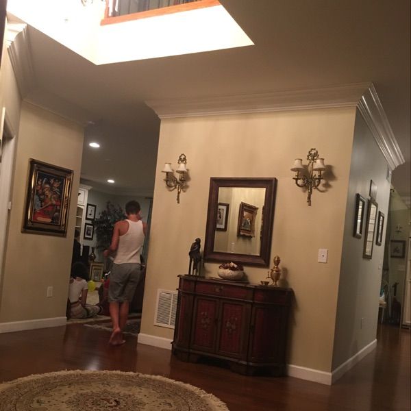 Profile Picture of Daniel Golnabi (@danielgolnabi) on Tiktok