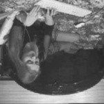 Profile Picture of ALETHIA (@harrisonfwkl) on Instagram