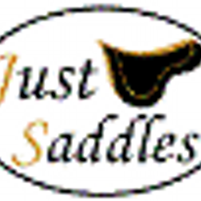 Profile Picture of Janet Blackburn (@justsaddles) on Twitter