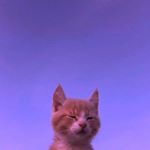 Profile Picture of tu es le seul que j'aime❤️ (@ericstarbuckspriv) on Instagram