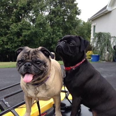 Profile Picture of Bridgette Weaver (@WeaverBridgette) on Twitter