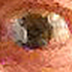 Profile Picture of Terry Thomas (@psyop55@att.net) on Flickr