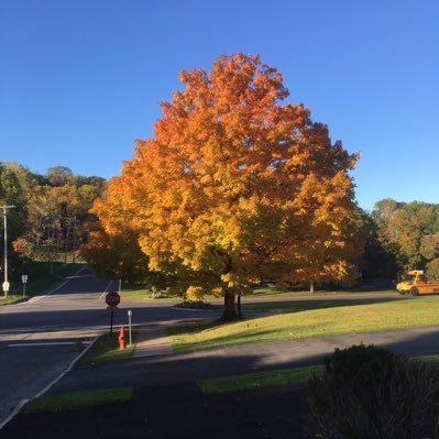 Profile Picture of Edward Curtis (@Ted_Curtis_MPH) on Twitter