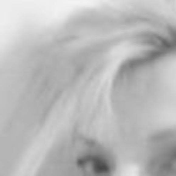 Profile Picture of Marsin Lysik (@minkadink000) on Poshmark