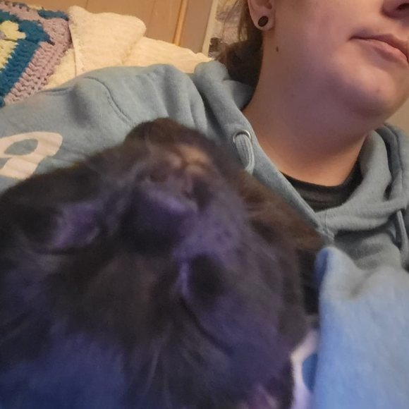 Profile Picture of Gabrielle Fitzgerald (@gabriellefit593) on Poshmark