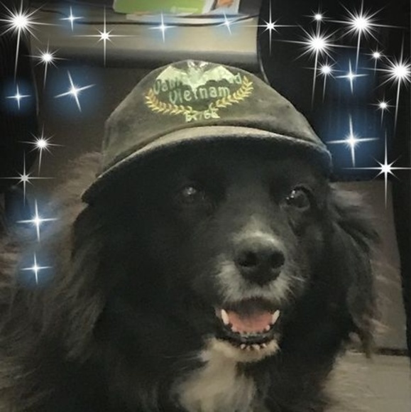 Profile Picture of Iza Wojtkowski (@izawojtkowski) on Poshmark