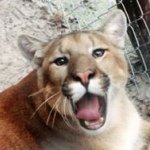 Profile Picture of Barbara Covey (@bajacovey) on Instagram