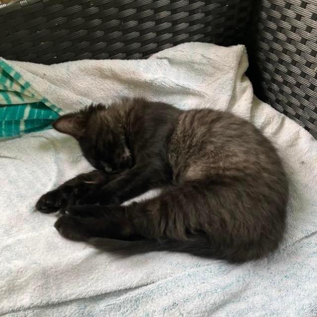 Profile Picture of Connor mullins (@connor97536) on Tiktok