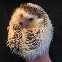 Profile Picture of Dylan Epperson (@dylan-epperson-5) on Quora