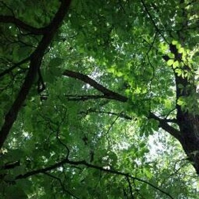 Profile Picture of Scott Toth (@ScooterCle) on Twitter