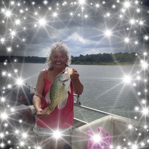 Profile Picture of Donna Clouse (@donnaclouse) on Poshmark