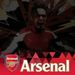 Profile Picture of Paul Groves (@pgseagulls) on Pinterest