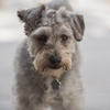 Profile Picture of Isaac Trumble (@@user314311192) on Tiktok