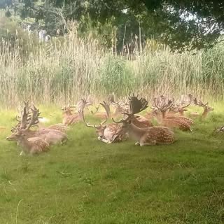 Profile Picture of Gregorio Landeros (@landerosgregorio) on Instagram