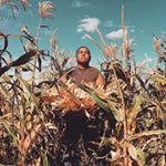 Profile Picture of Kris Barney (@hastiingoatherder) on Instagram