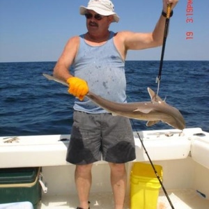 Profile Picture of Randy (@littlerebel1141) on Myspace