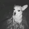 Profile Picture of kennethtoliver14 (@@kennethtoliver12) on Tiktok