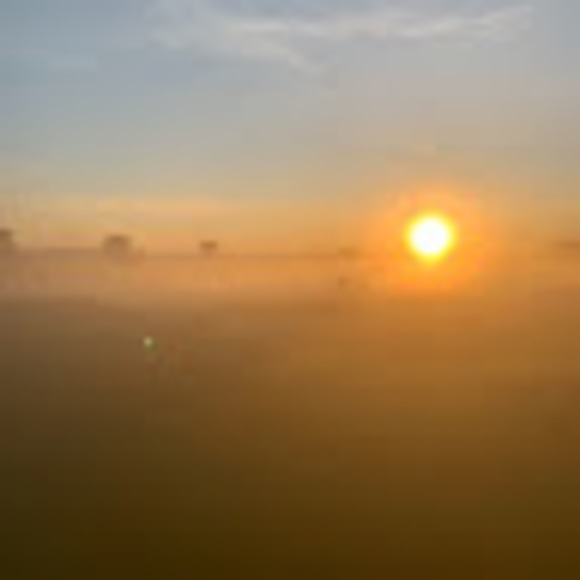 Profile Picture of Kristin Tossey (@kristoss) on Poshmark