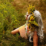 Profile Picture of Coreylynn (@coreylynn) on Flickr