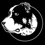 Profile Picture of Amir-teymourian (@royal_cao_dogs) on Instagram