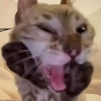 Profile Picture of Dylan Chandler (@Dylan-Chandler) on Facebook