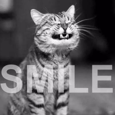 Profile Picture of Bexy Curtis :) (@KittyBexy) on Twitter