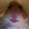 Profile Picture of brentrankhotmailcom (@notificationsdeliver) on Tiktok
