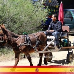 Profile Picture of Ambrosio Gomez (@ambrosio.gomez) on Tiktok