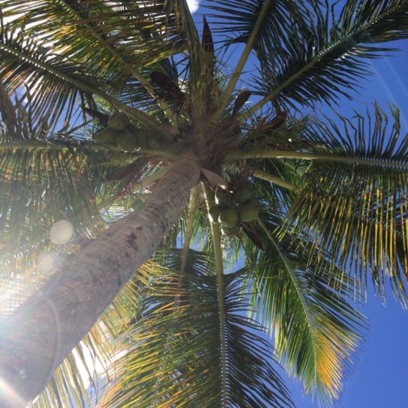 Karen Ciarlette - Poshmark Profile Picture of Karen Ciarlette (@kciarlette) on Poshmark