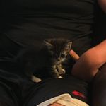 Profile Picture of Derek James Koler (@derekjameskoler) on Instagram